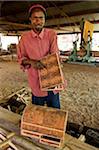 Kenya, Laikipia, Lewa Downs. A craftsmen at the Wilderness Trails community workshop, backgammon board inlaid with acacia root.