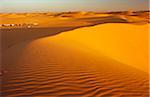 Libya, Fezzan, Erg Uan Kasa. Tourists set up a wild campsite in the midst of the Erg Uan Kasa dunes between the Jebel Akakus and the Messak Settafet.