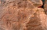 Libya, Fezzan, Messak Settafet. A petroglyph of a bovine with large sweeping horns, probably an African buffalo, Wadi Tiksatin