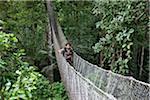 Pérou. Jésus, un guide local expérimenté au Inkaterra séjournez Amazonica, traversant un pont sur le parcours de la cime des arbres de la canopée.