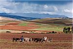 Peru, fruchtbare Landwirtschaft in großer Höhe Land in der Nähe von Maras.