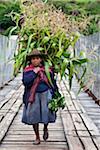 Peru, A woman with a load of maize stalks to feed to her pigs crosses a narrow bridge spanning the Urubamba River.