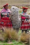 Peru, Females with an alpaca and lamb at Abra La Raya, the highest point (4318m) on the  Andean Explorer  express train (Cusco-Puno)