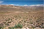 Peru, The bleak altiplano of the high Andes between Arequipa and the Colca Canyon.