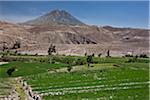 Peru, Crops growing on pre-Inca terracing fed by a network of irrigation channels. El Misti, an active volcano in the background.