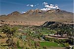 Pérou, cultures poussant dans des sols volcaniques fertiles à côté de la rivière de piment à la périphérie d'Arequipa avec volcan éteint, Chachani