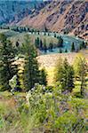 Middle Fork des Salmon River an der Camas Creek, Frank Church Wildnis, Bundesstaat Idaho, USA.