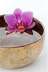 Orchid blossom in bowl with water