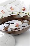 Orchid blossoms in bowl with water