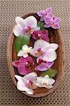 Orchid blossoms in wooden bowl with water