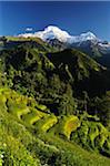 Annapurna South and Hiunchuli as seen from Ghandruk, Gandaki Zone, Nepal