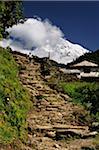 Le sentier près de Komrong, Annapurna Conservation Area, Zone de Gandaki, Népal