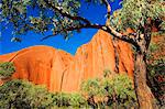 Australie, Northern Territory, Parc National d'Uluru-Kata Tjuta. Kantju Gorge sur la promenade de Mala à Uluru (Ayers Rock) (PR)