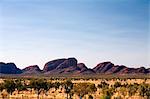 Australia, Northern Territory, Uluru-Kata Tjuta National Park. View across the spinifex plains to Kata Tjuta (The Olgas) (PR)