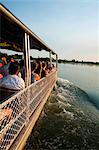 Australia, Northern Territory, Kakadu National Park, Cooinda.  Wildlife spotting cruise in the Yellow Water Wetlands.(PR)