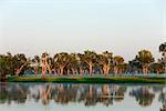 Australien, Northern Territory, Kakadu-Nationalpark Cooinda. Gelbes Wasser Feuchtgebiete im Morgengrauen.(PR)