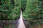 Canada, British Columbia, Vancouver, suspension bridge at Lynn Canyon Park