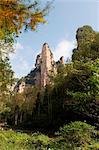 China, Hunan Province, Zhangjiajie Forest Park, Wulingyuan Scenic Area, Unesco World heritage Site, limestone cliffs