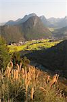 Chine, Yunnan province, Luoping, colza fleurs en fleurs, chutes de Jiulong