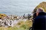 Falkland Islands; West Point Island. Photographing black-browed albatross (Thalassarche melanophris) colony with telephoto lens.