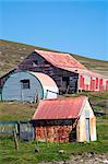 Livre de Falkland, île de la carcasse. Bâtiments de la ferme au village surplombant le Port de Pattison.