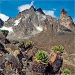 Kenya. Les sommets du mont Kenya, Afrique s Deuxièmement plus haute montagne enneigée.