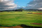 Kenya,Timau. Rolling wheat farms at Timau, 8,500 feet above sea level, looking towards cloud-covered Mount Kenya.