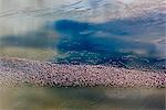 Kenya, District de Nakuru. Troupeaux de flamants survoler lac Elmenteita, un petit sodo lac d'Afriques vallée du Grand Rift.