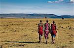 Kenya, District de Narok. Hommes Maasai marchent la maison à travers les plaines herbeuses courts près de Maasai Mara Game Reserve