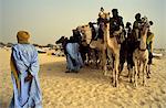 Mali, Essakane, near Timbuktu or Tombouctou. Tuareg men and camels gather at the Festival in the Desert or Festival au Desert
