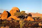 Namib Rand Nature Reserve, Namibia. Rounded boulders of a kopje on arid grassland bordering the sand dunes of the Namib Desert.