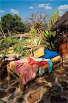 South Africa, Limpopo Province, Waterberg Plateau. Poolside lounger and aloe plants at Ant's Nest Private Bush Home.