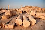 Syria, Palmyra. Fallen columns and arches litter the ground across the site of Queen Zenobia's ancient city at Palmyra.