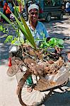 Tanzania, Zanzibar, Stone Town. An enterprising man at Zanzibars Central Market selling homemade rattraps and plants.