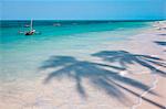 La plage bordée de palmiers de noix de coco à Jambiani est une des plus belles plages dans le sud-est de l'île de Zanzibar.