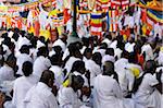 People Praying, Mahabodhi Temple, Bodh Gaya, Gaya District, Bihar, India