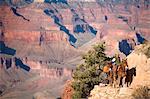 Aux États-Unis ; Arizona ; Grand Canyon. Mule train s'approcher de la rive sud du canyon sur le Bright Angel Trail.