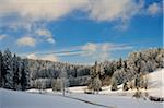 Schwarzwald-Baar, la forêt noire, Bade-Wurtemberg, Allemagne