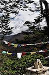 Prière drapeaux, Ama Dablam, Khumbu, le Parc National de Sagarmatha Solukhumbu District, Sagarmatha, Purwanchal, Népal