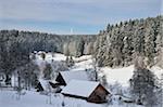 Maisons et la forêt, près de Koenigsfeld, forêt noire, Bade-Wurtemberg, Allemagne