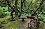 Bench and Table in Rainforest, Queimadas, Madeira, Portugal