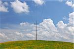 Utility Pole in Meadow, Sonntagberg, Mostviertel, Lower Austria, Austria