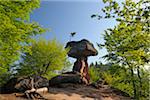 The Devil's Table Rock Formation,Teufelstisch, Hinterweidenthal, Pfaelzerwald, Rhineland-Palatinate, Germany