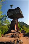 The Devil's Table Rock Formation, Teufelstisch, Hinterweidenthal, Pfaelzerwald, Rhineland-Palatinate, Germany