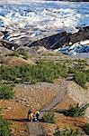 Découvre surplombant les randonneurs à pied le long du sentier Spencer Glacier, forêt nationale de Chugach, péninsule de Kenai, centre-sud de l'Alaska, l'été