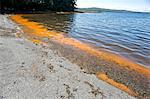 Red tide, caused by rapid algae bloom, in the Tongass Narrows near Ketchikan, Southeast Alaska, Summer