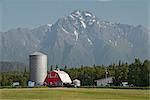 Scenic view of a rural farm with red barn and silo and Pioneer Peak in the background, Palmer, Mat-Su Valley, Southcentral Alaska, Summer