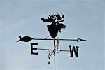 Close up of a weathervane with a moose head, Mat-Su Valley, Southcentral Alaska, Summer