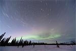 Vue des aurores boréales et traînées d'étoiles au-dessus des épinettes à large col, centre-sud de l'Alaska, hiver