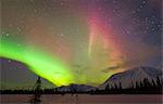 View of Northern Lights over the foothills of the Alaska Range, Broad Pass, Southcentral Alaska, Winter